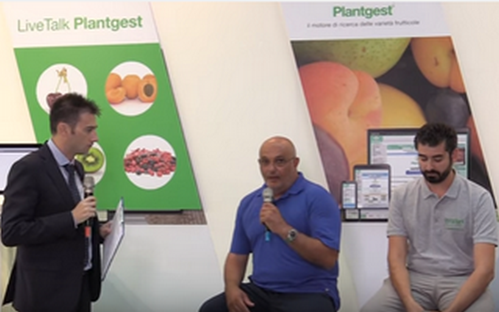 SALVI VIVAI: LIVE TALK PLANTGEST SUL CILIEGIO