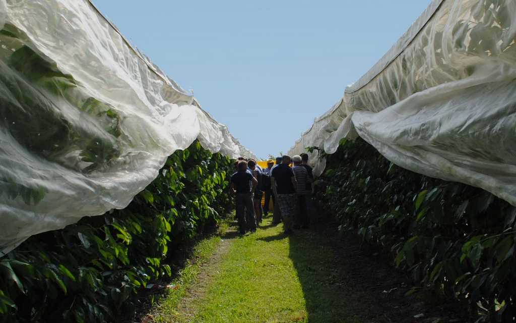 SUCCESSO PER L’OPEN DAY AL CERASETO